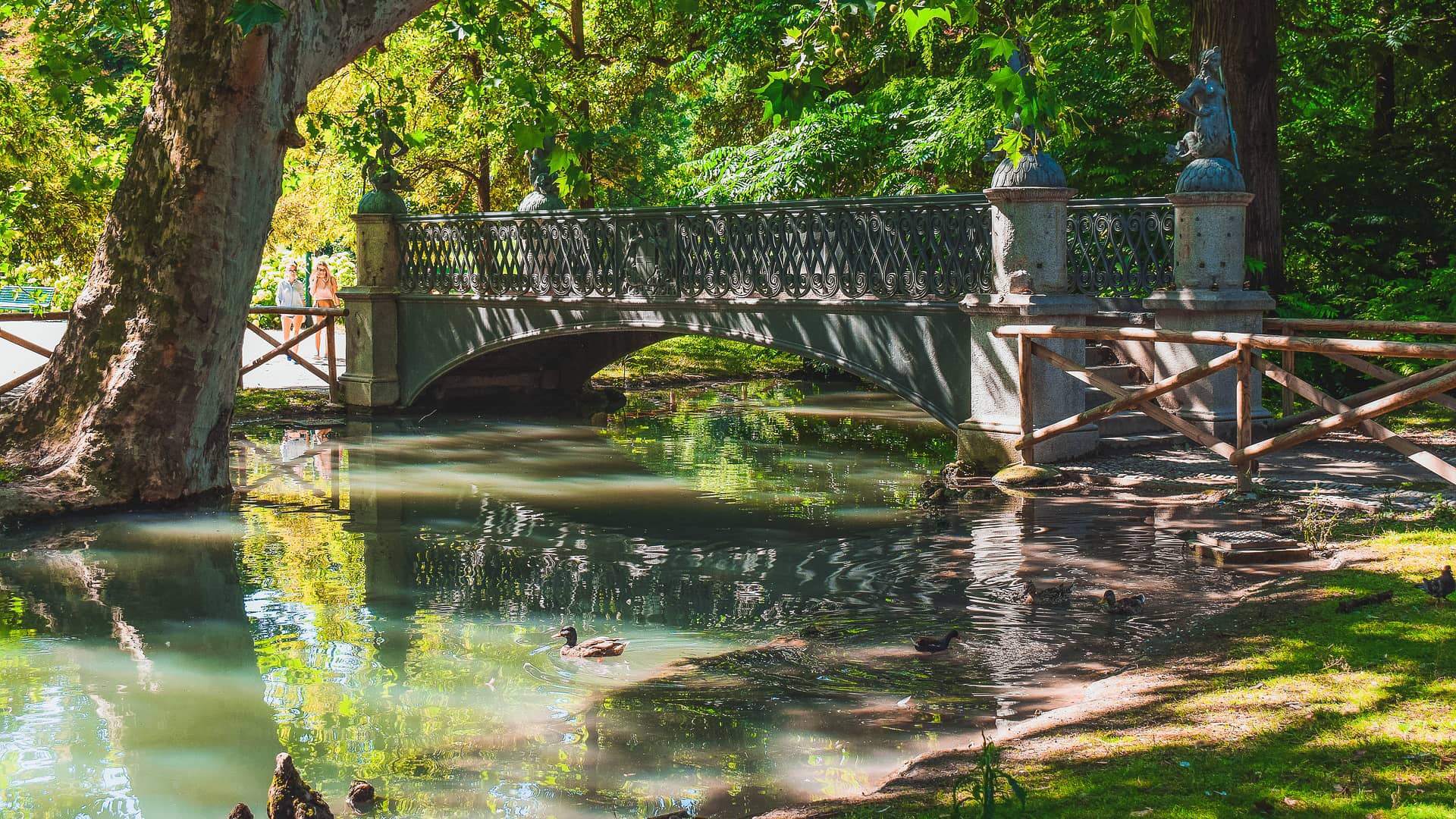 bridge park lake forest morning  