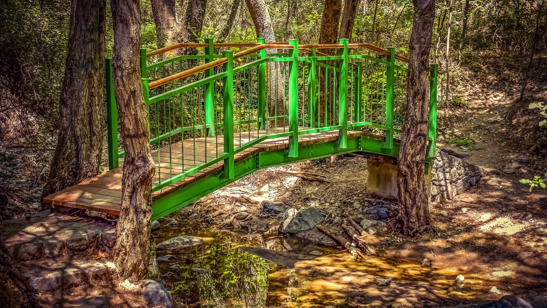 bridge wooden creek trees scenic  