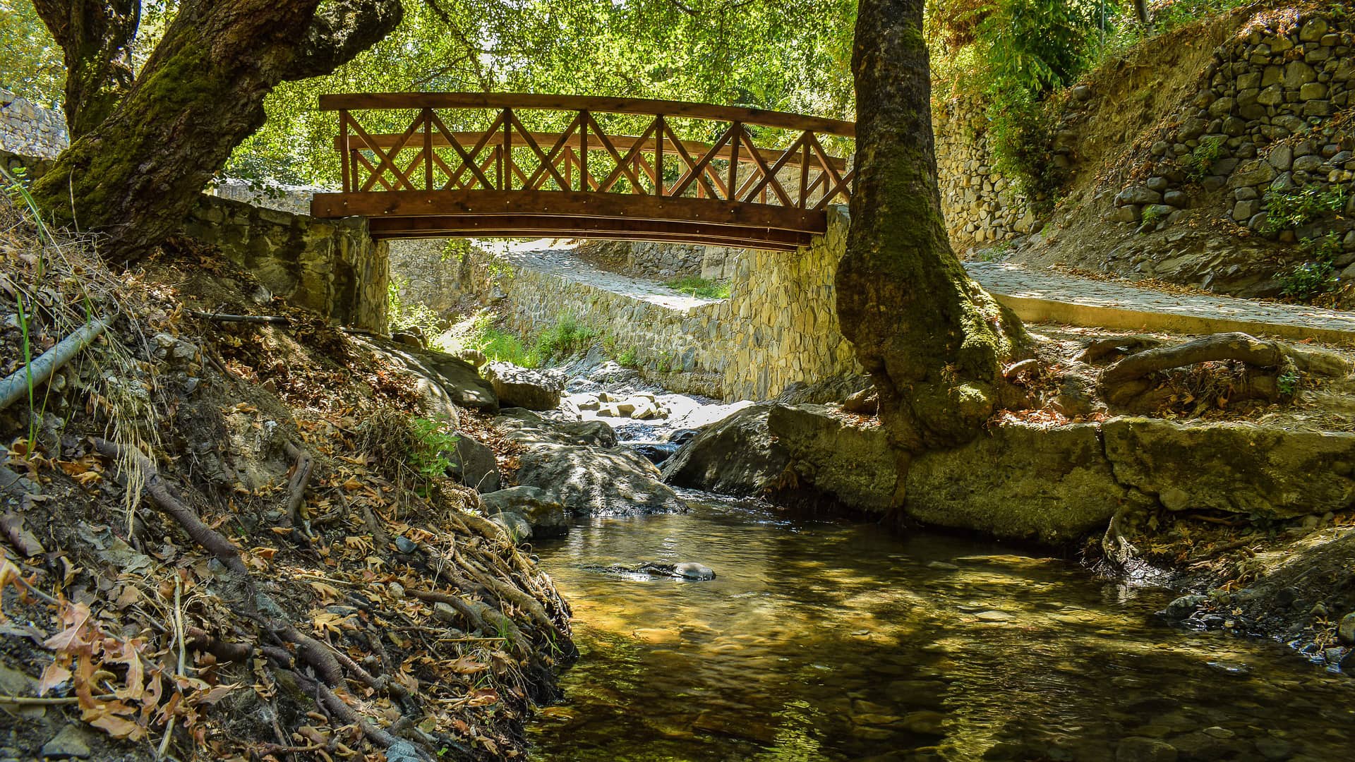 bridge wooden river romantic  