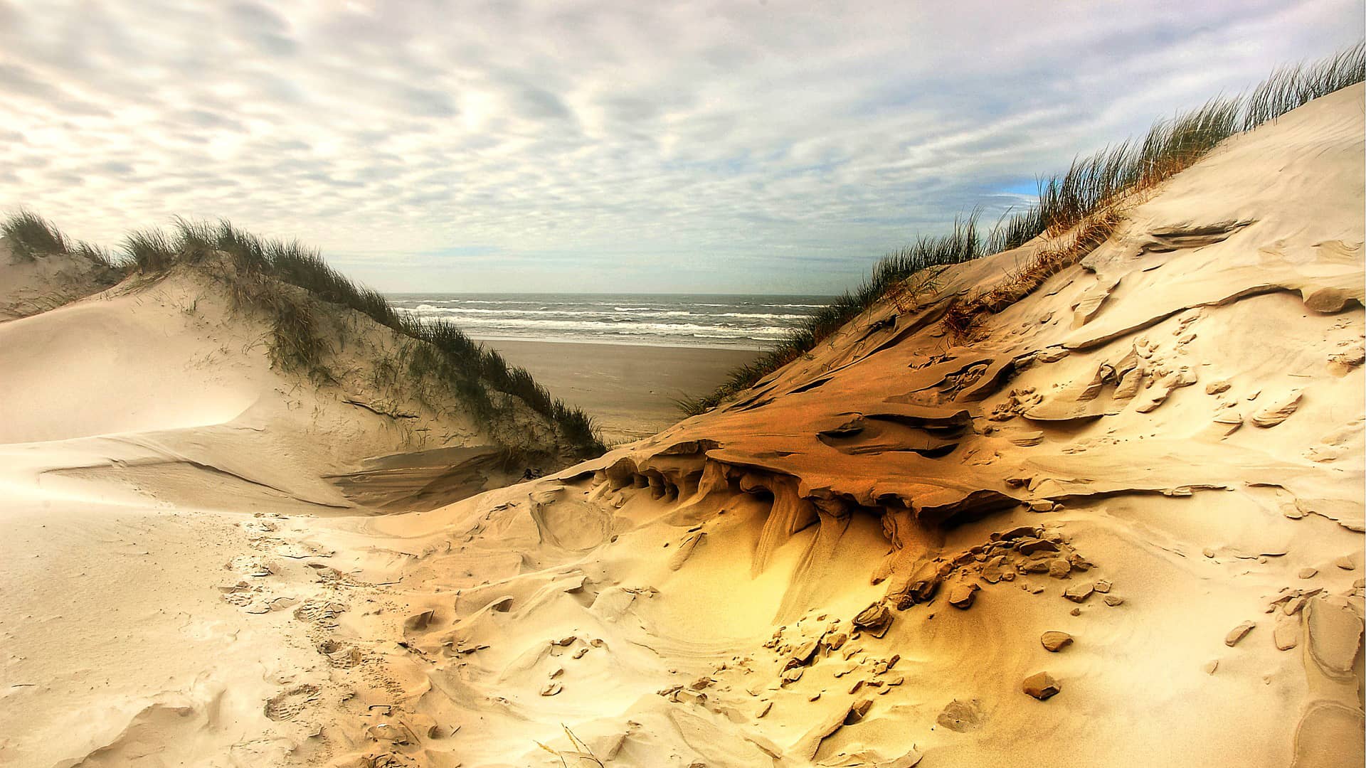 dunes beach sea nature clouds  