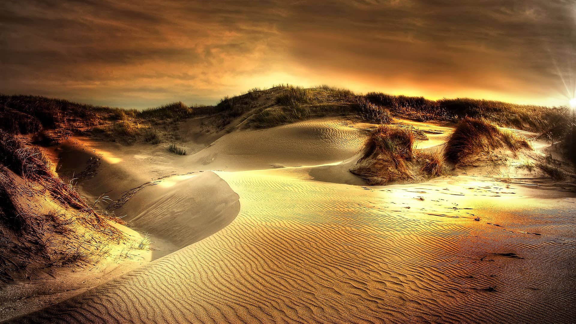 dunes sea north sea beach sand  