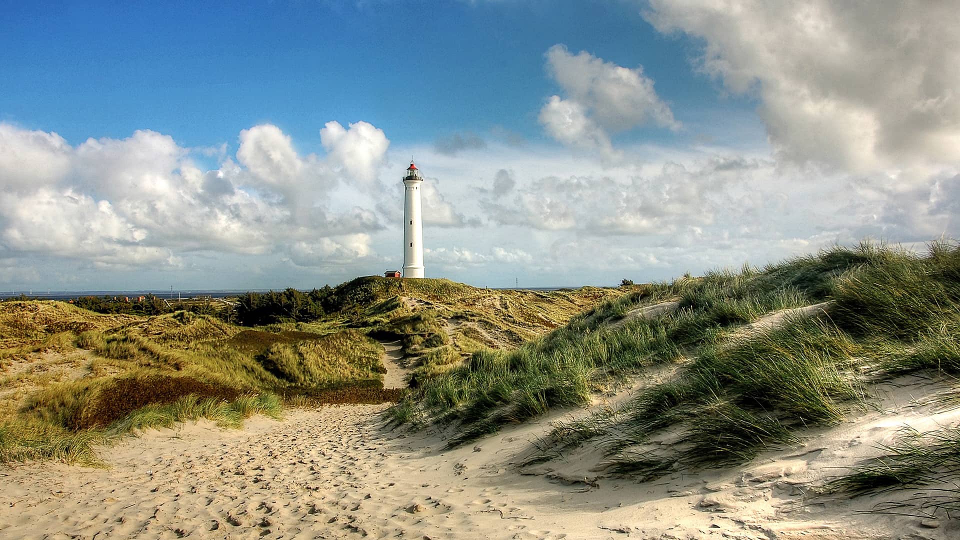 lighthouse beach sea coast ocean  