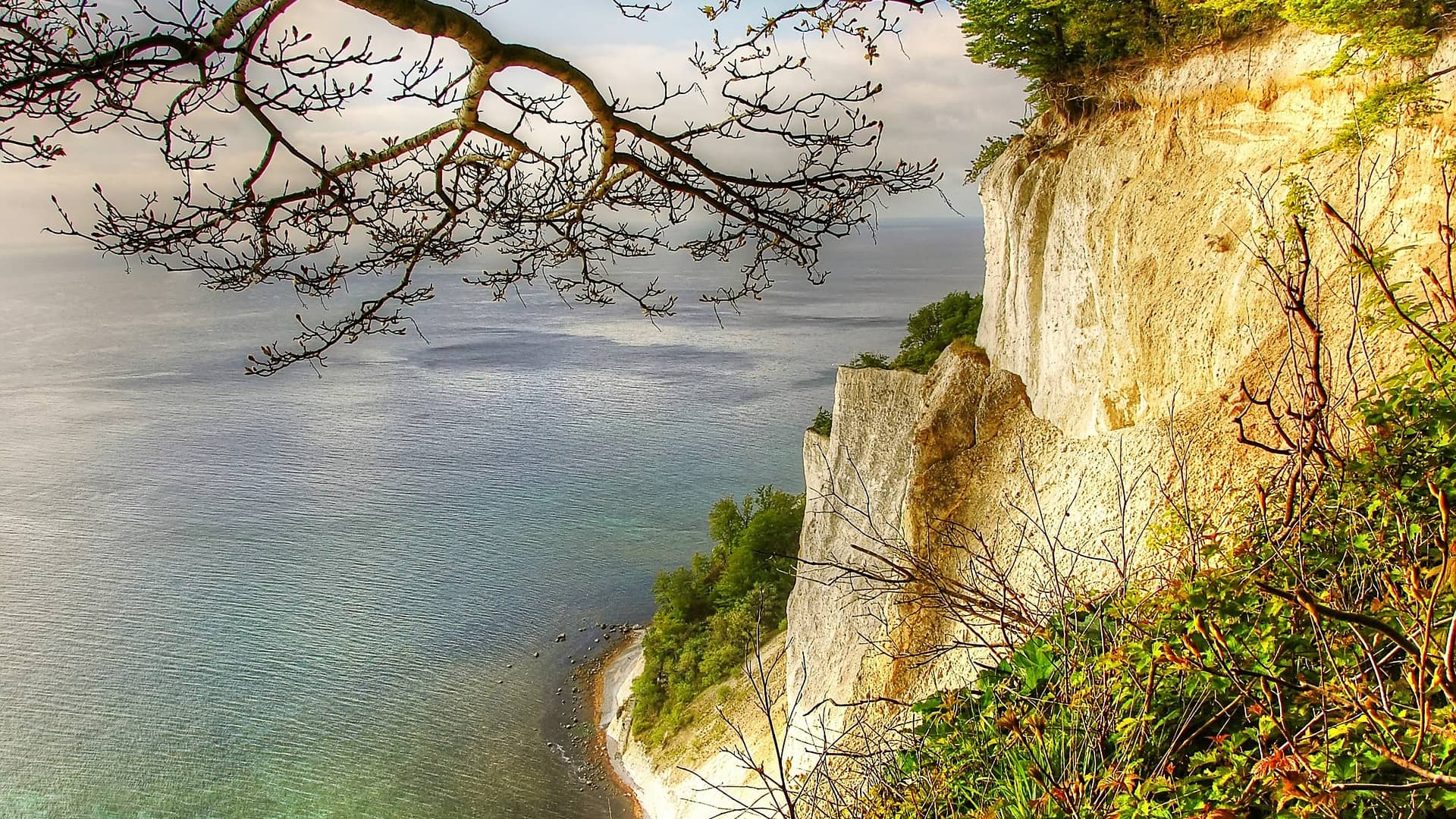 món island white cliffs denmark  