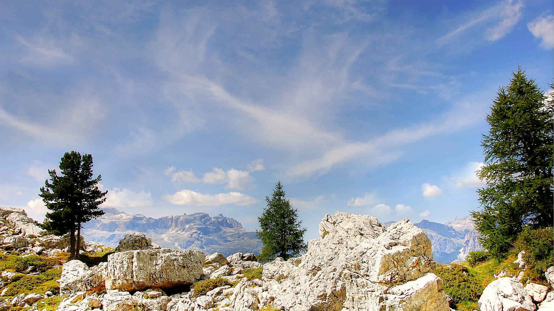 pralongia dolomites alm nature  