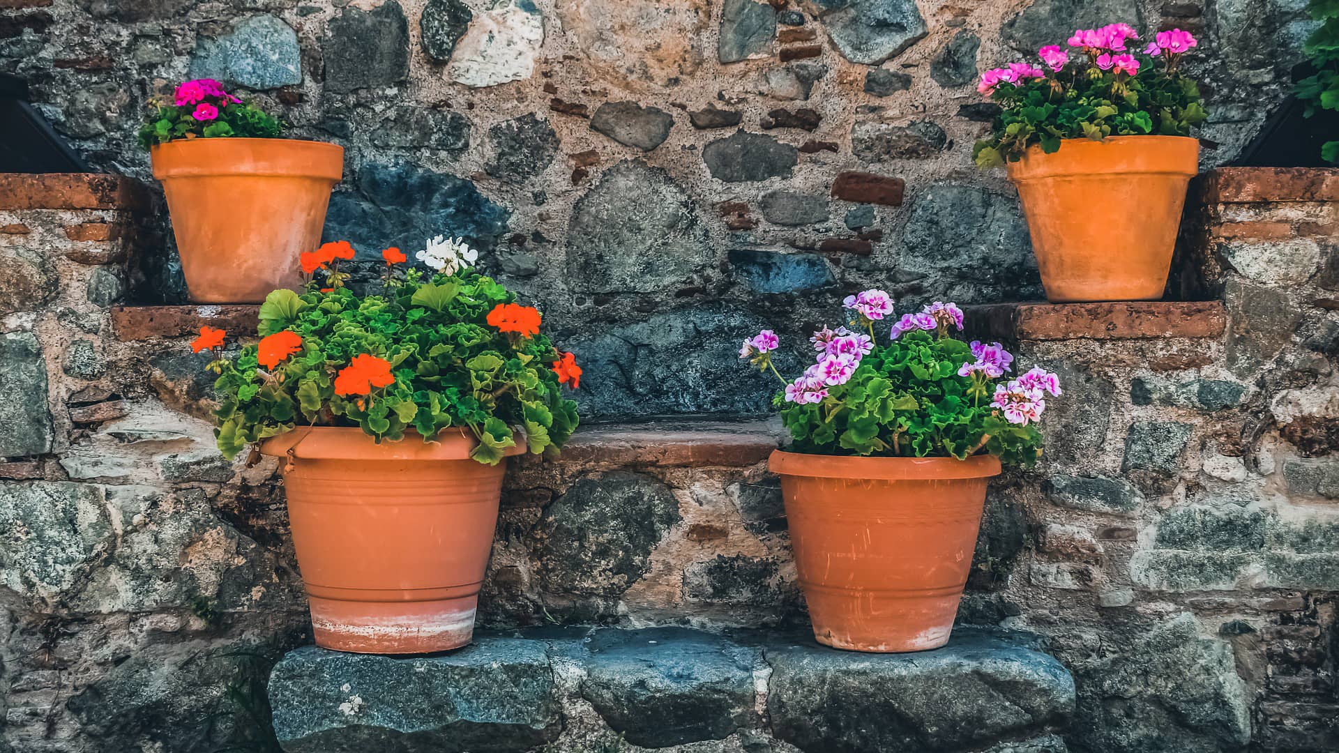 stairs pottery flowers village  