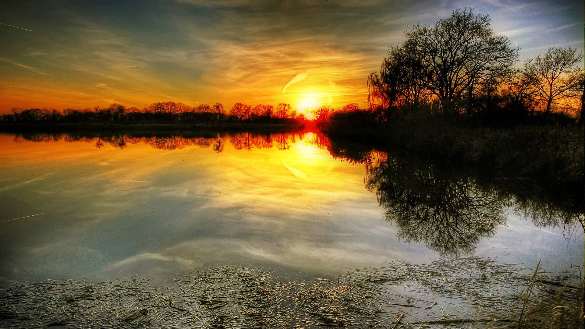 sun pond water nature lake  