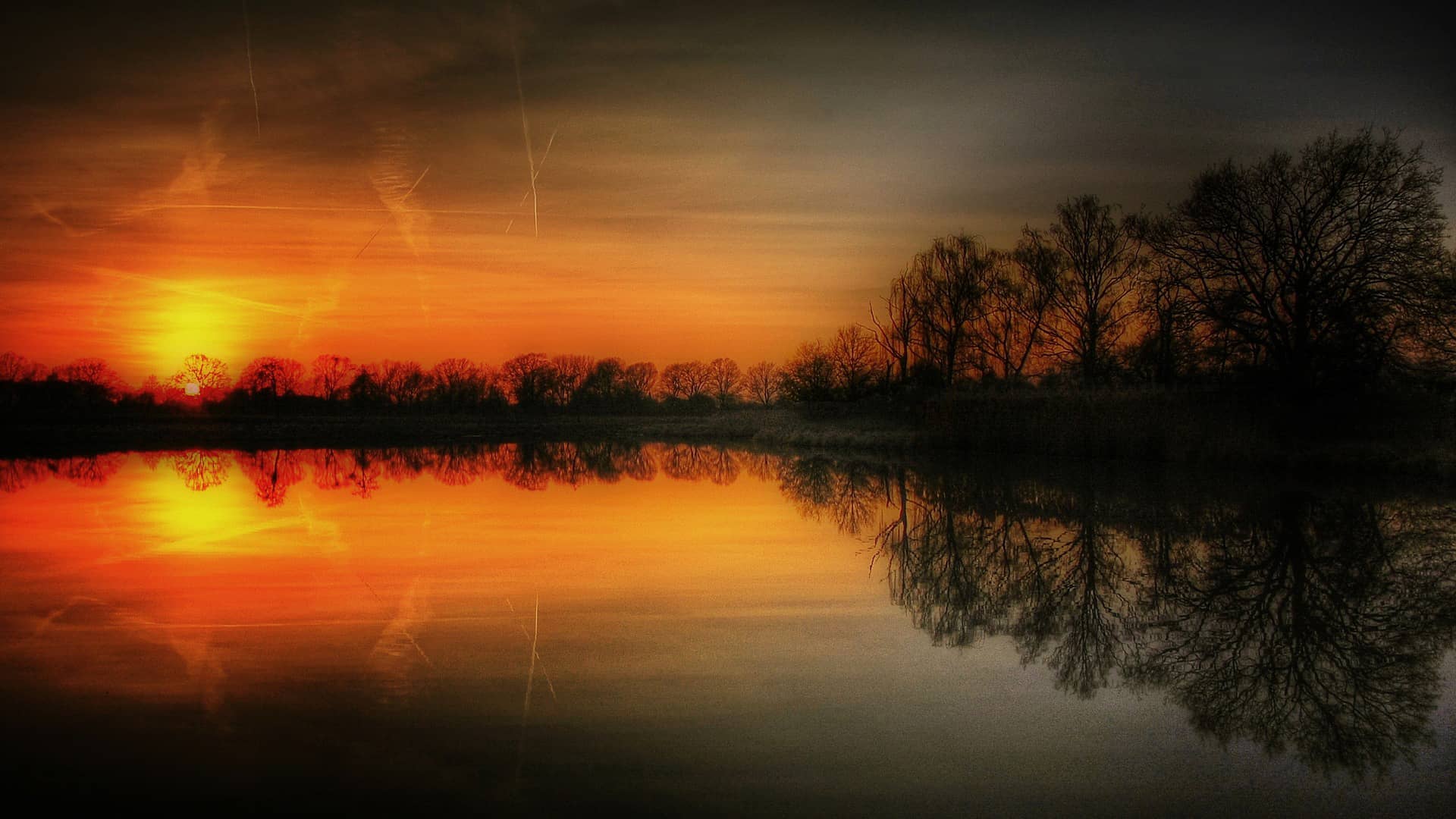 sun pond water nature landscape  