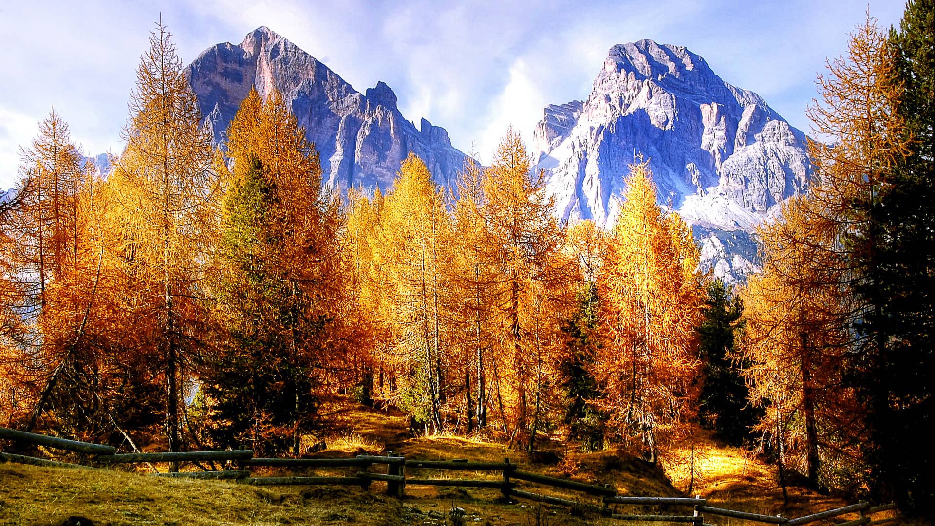 tofane dolomites nature  