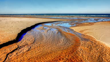 denmark beach sea sand north sea  