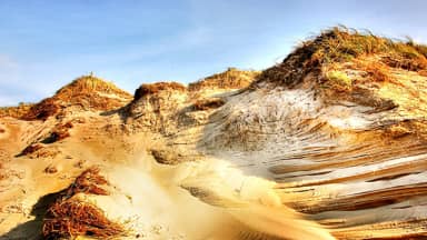 dune beach sea nature sand dunes  