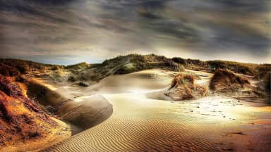 dunes beach sand north sea denmark  