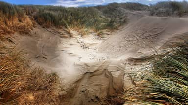 dunes beach sea nature clouds  