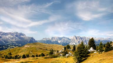 pralongia dolomites alm nature  