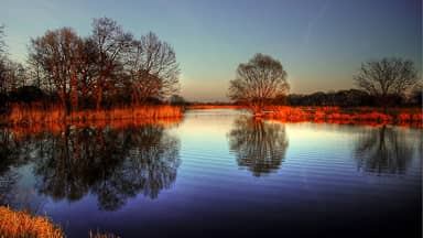 sun pond water nature landscape  