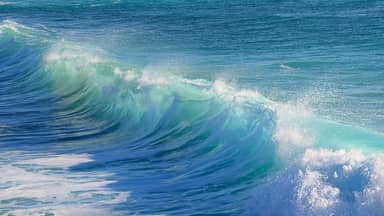 surf water wave sea nature  