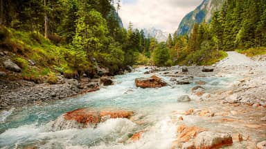 wimbach ramsau forest sunny nature  