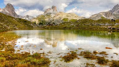 zinnensee dolomites alm nature  